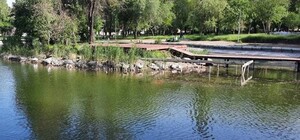 Порадуйся: на территории Дюковского парка в Одессе почистили пруд 