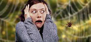 В Днепре появились ядовитые пауки: чем опасны и что делать, если укусят