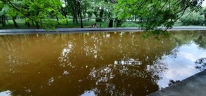 Стыдно: пруд в одесском парке Победы превратился в грязное болото