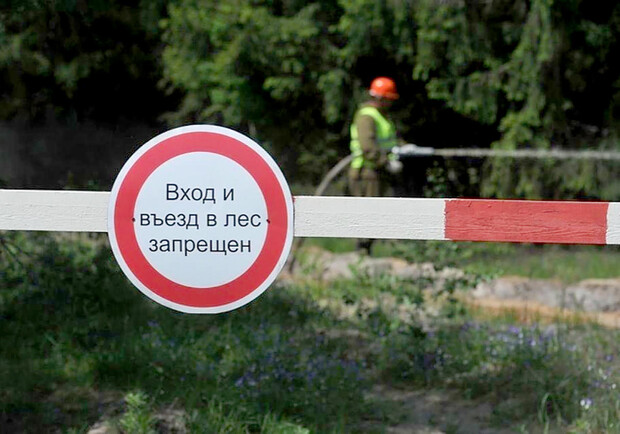 Жителей Харьковской области просят месяц не ходить в лес из-за стрельб. Фото: cxid.info