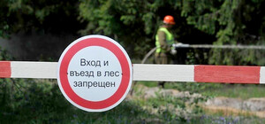 Стреляют: жителей Харьковской области просят месяц не ходить в лес