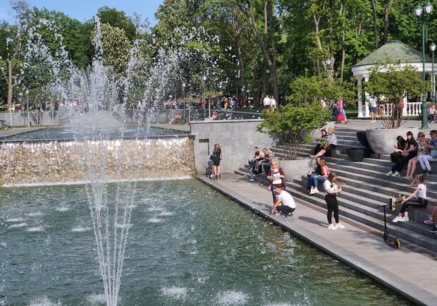 В саду Шевченко мужчины устроили заплыв в фонтане. Фото: Vgorode