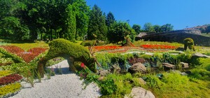 Полюбуйся: на Спивочем поле заработала выставка цветов с дикими животными