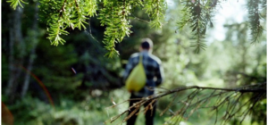 Потерялся в Григоровском бору: в Харькове пропал мужчина