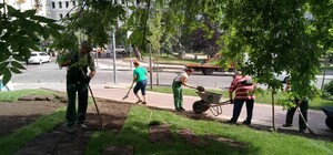 Времена меняются: почему в сквере на Прорезной срезали деревья и кусты