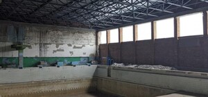 За 111 миллионов: в Балаклее восстановят спорткомплекс с бассейном