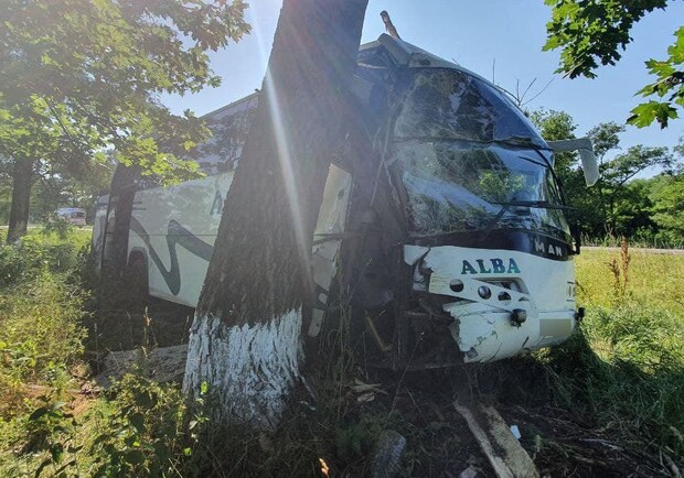 На Мерефянской трассе автобус с пассажирами влетел в дерево. Фото: патрульная полиция