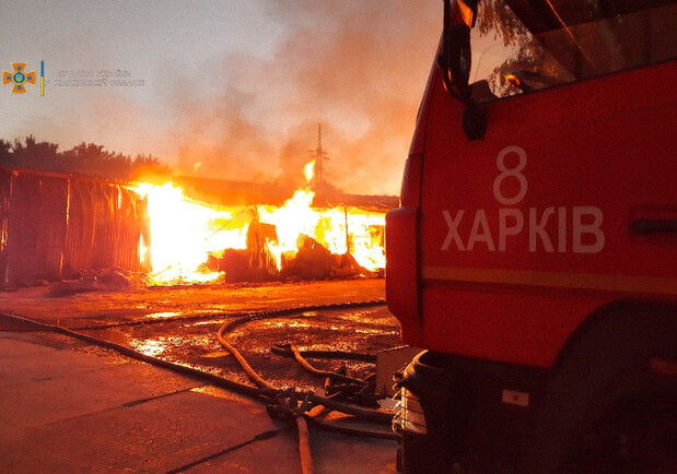На Одесской спасатели локализовали масштабный пожар. Фото: kh.dsns.gov.ua