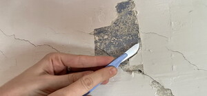 В одесском старинном здании нашли историческую роспись: ее восстановят 