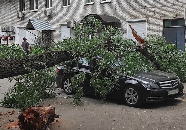 Во дворе на проспекте Гагарина дерево упало на Mercedes. Фото: suspilne.media
