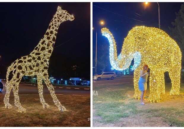 В Харькове появились фигуры слона и жирафа. Фото: ХС, Харьков 1654