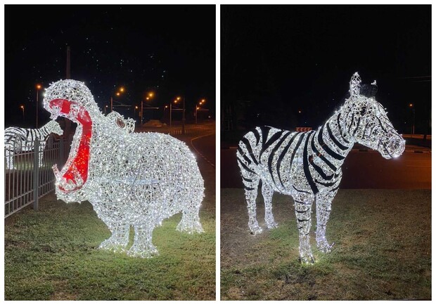 В Харькове появились светящиеся фигуры зебры и бегемота. Фото: @arina_brezickaya