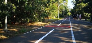 Сбавляй скорость: на Трассе Здоровья появилась ограничивающая разметка 