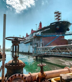 Увидеть ремонт кораблей и попробовать устрицы: 10 необычных экскурсий в Одессе и области