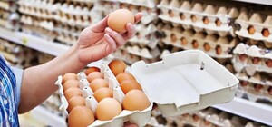 Назвали новую цену: харьковчан ждет подорожание яиц