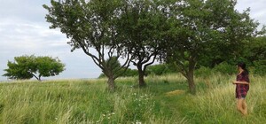 Зелені зв’язки: вулицю Хмельницького з'єднають із Знесінням пішим маршрутом 