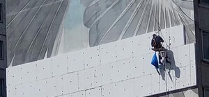 Птичку не жалко: в Харькове решили 