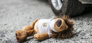 У реанімації: у Солонці автомобіль збив восьмирічного хлопчика