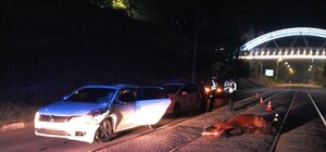 Погибла лошадь, пострадала девушка: на Клочковском спуске — ДТП