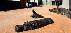 Санитарный день: Харьковский зоопарк не будет работать один день в неделю