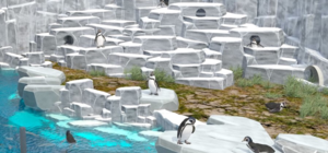 Пингвины, белые медведи и другие: в Харьковском зоопарке в ближайшее время появятся новые животные