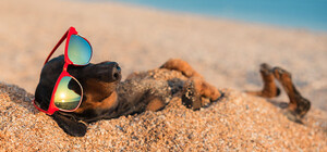 Много проблем: в Запорожской области подвели итоги курортного сезона