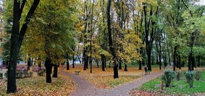 Шесть дубов и две рябины: на Виноградаре высадят аллею дружбы Украины и Германии