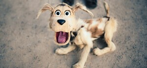 Казка у гаю: маленьких львів'ян кличуть на театральний фестиваль просто неба