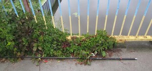 Задел высоковольтные провода: под Киевом погиб 16-летний рыбак