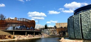 Жирафы, леопард, бегемот: когда в Харьковский зоопарк привезут новых животных