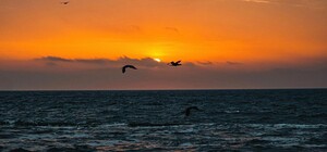 Время шашлыков и поездок за город: какую погоду ждать одесситам в октябре