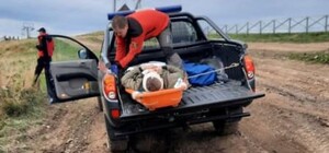 У Карпатах перекинувся автомобіль із туристами: поліція розповіла подробиці