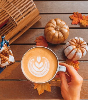 Дивогонка, найдовша піца, фестиваль кави: куди піти у Львові 9-10 жовтня