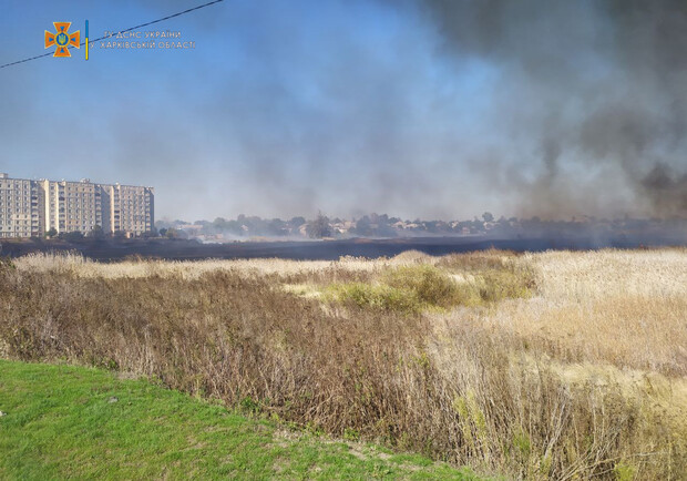 В Балаклее — масштабный пожар. Фото: kh.dsns.gov.ua