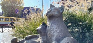 Еще одна достопримечательность: у 