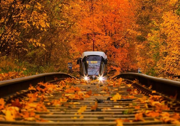 На длинные выходные из Харькова назначили дополнительные поезда во Львов и Одессу. Фото: twitter.com