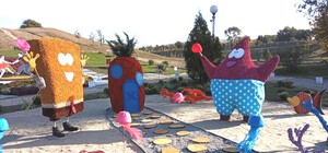 Можно идти селфиться: на Радуге появились большие цветочные локации