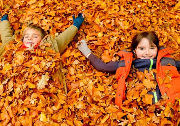 Осенние каникулы в школах Харькова начнутся 18 октября. Фото: news.myseldon.com