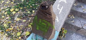 Очередной акт вандализма: коту-сфинксу на Военном спуске сбили голову