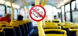 Убегал от контролеров: в Киеве безбилетник пытался вылезти через окно электрички