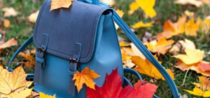 До 7 ноября: школам Харькова и области рекомендовали продлить каникулы