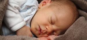 На помощь брошенным малышам: в Днепре собирают монеты номиналом 25 копеек