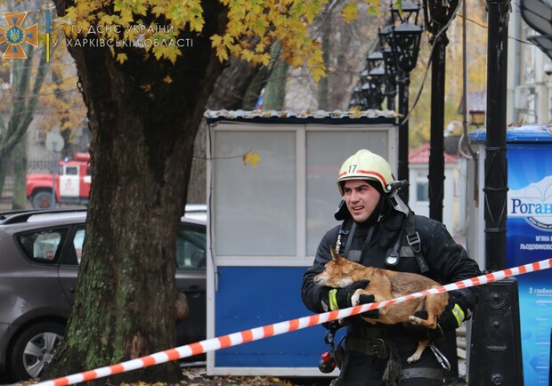 И горящего дома в центре Харькова спасли 6 человек. Фото: ГСЧС Украины в Харьковской области
