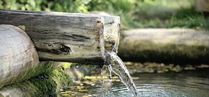 Проверку прошли только пять: в Харькове проверили качество воды из родников