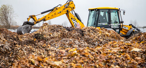 Что-то новенькое: опавшие листья в Киеве больше не будут сжигать
