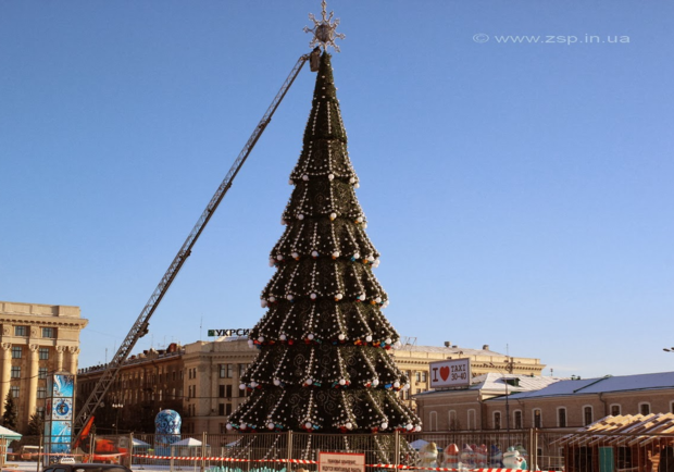 На площади Свободы начали устанавливать елку