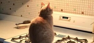 Завтра многие одесситы останутся без газа и воды