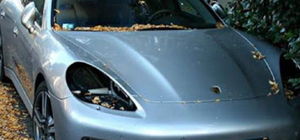 Полиция поймала воров, снимавших фары с дорогих автомобилей