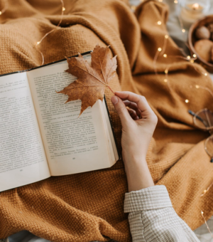 Диван подождет: чем заняться в Киеве на этих выходных