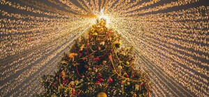 В Одессе на конкурс установят арт-елки